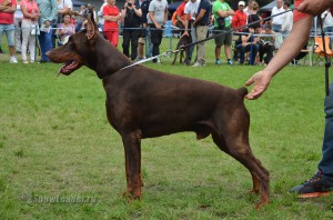 DSC_0556