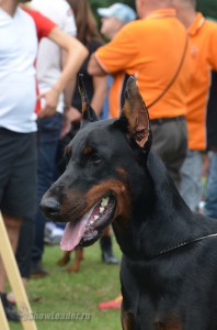 DSC_9397