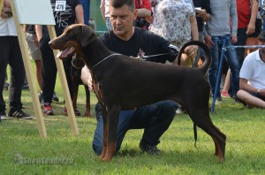 DSC_9632
