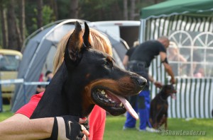 DSC_9671
