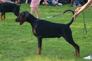 DSC_9851