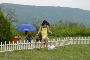 DSC_4235