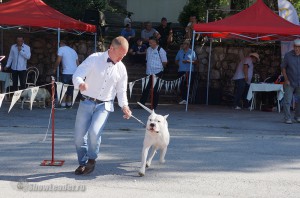 DSC04229