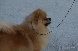 DSC04309