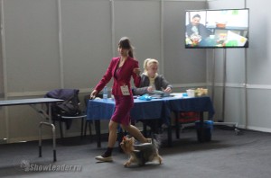DSC02274