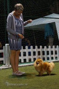 DSC01020