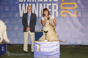 DSC01463