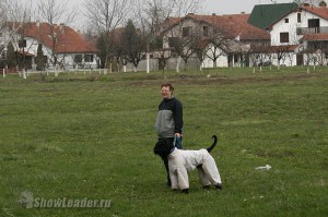 IMG_2786