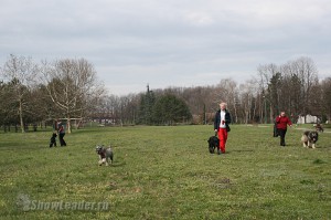 IMG_2950
