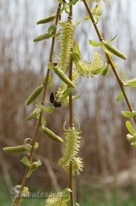IMG_3280
