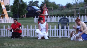 DSC08191