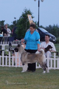 DSC08199