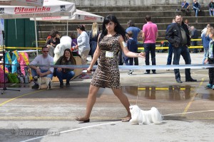 DSC_5249