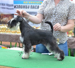 DSC_5400 (копия)