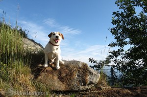 IMG_2502