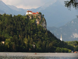 IMG_2718