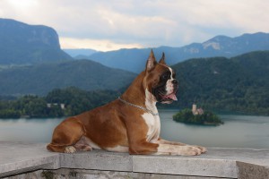 IMG_7896-2