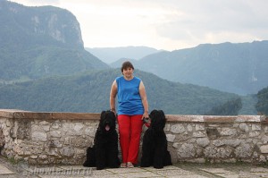 IMG_7955