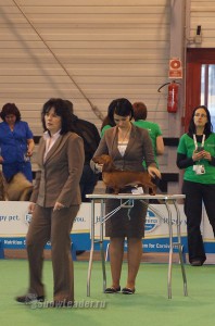 DSC05538