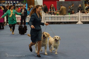 DSC01888