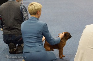 DSC01904