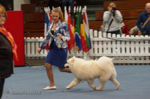 DSC01918