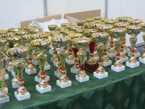 BIMG_1367