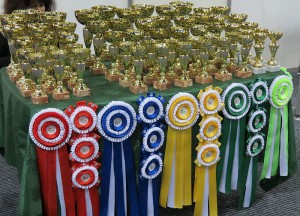 BIMG_1781