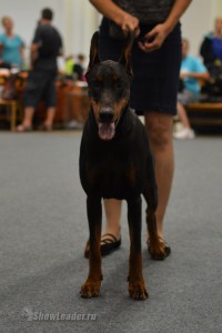 DSC_8062