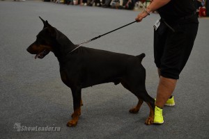DSC_8169