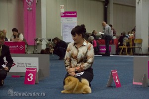 DSC02402-2