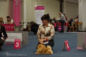 DSC02402