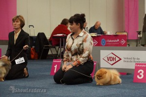 DSC02406
