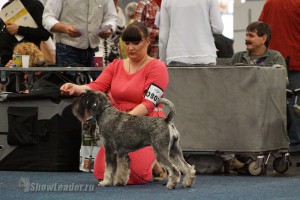 DSC02439