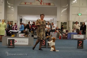 DSC02645