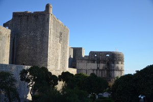 DSC_6121
