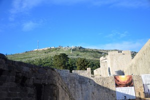 DSC_6125