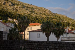 DSC_6197