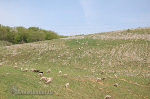 DSC_6865