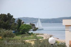 DSC_6905