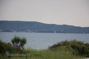 DSC_6951