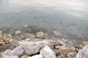 DSC_6954