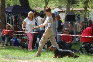 DSC_7018
