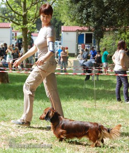 DSC_7025
