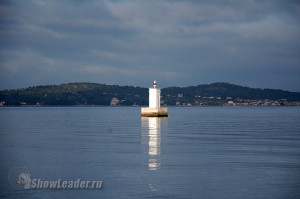 DSC_7337