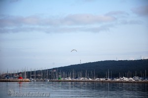 DSC_7345