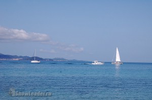 DSC_7521