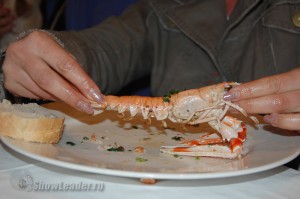 DSC_7681