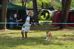IMG_2256990244917797