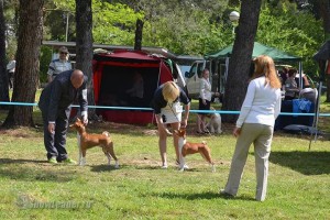 IMG_2257001393366335